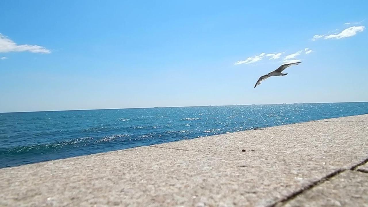 Aqua Luminita Apartment Mamaia